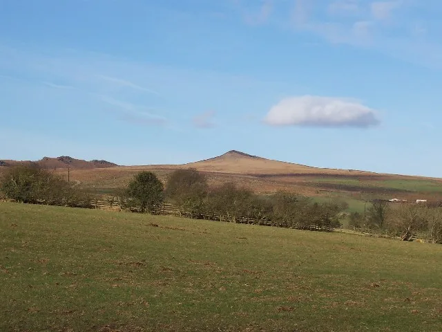Sharp Haw