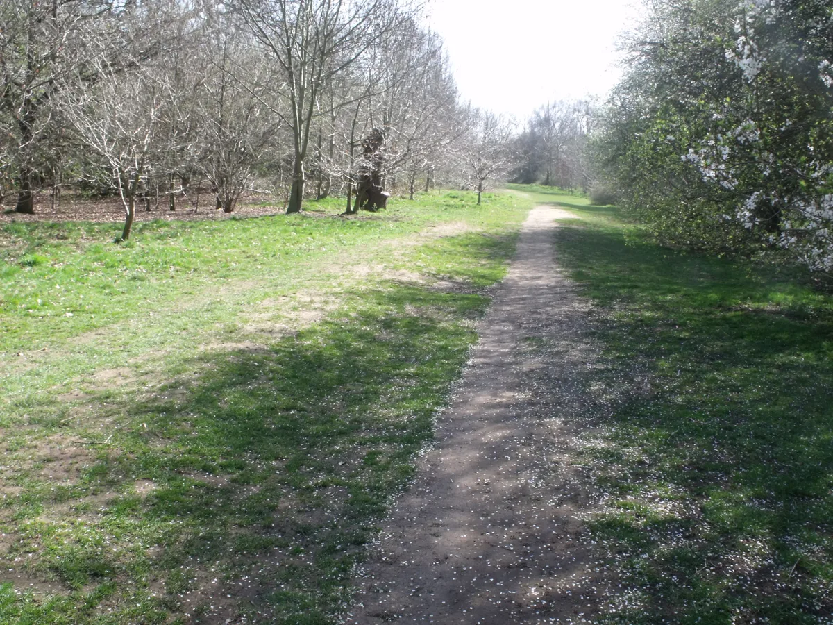 Shire Country Park