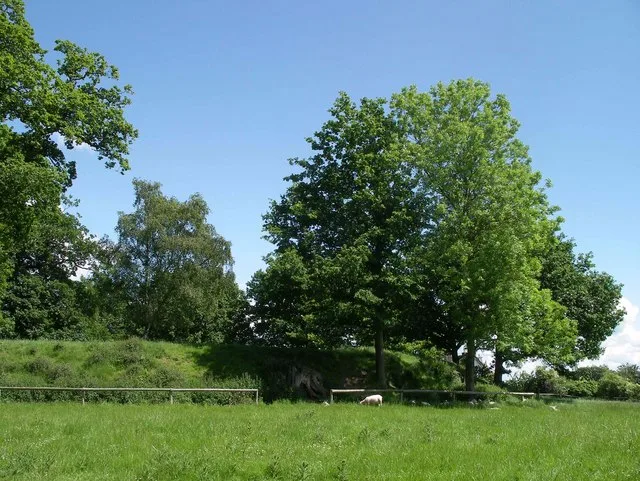 Shobdon Castle mound