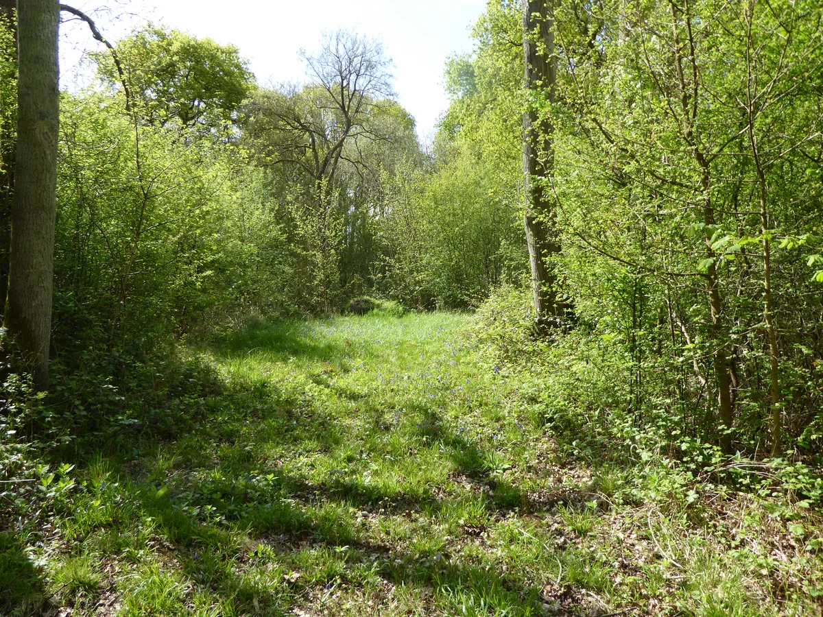 Short Wood and Southwick Wood