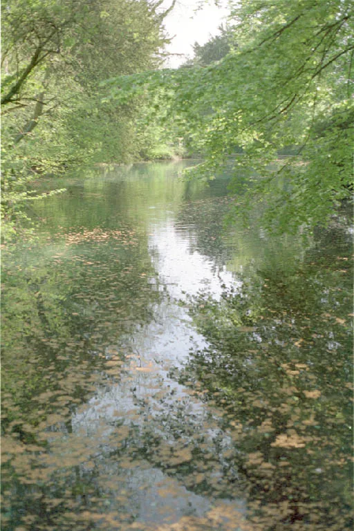 Silent Pool