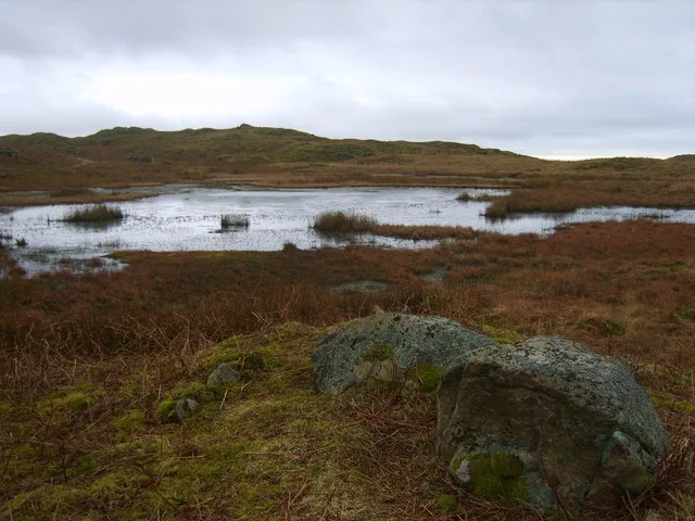 Siney Tarn