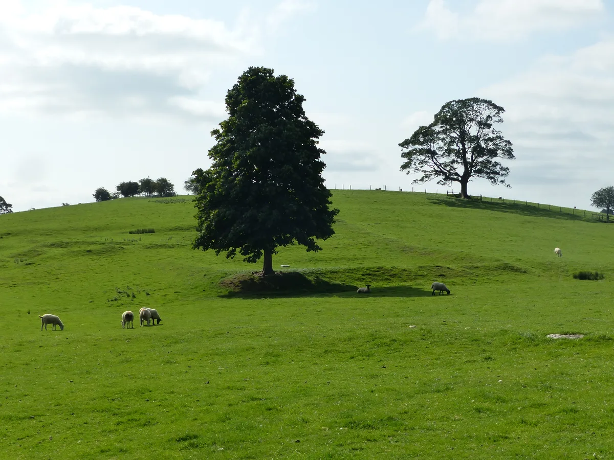 Site of Old Hall