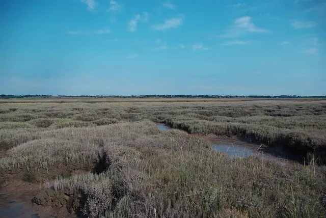 Skipper's Island