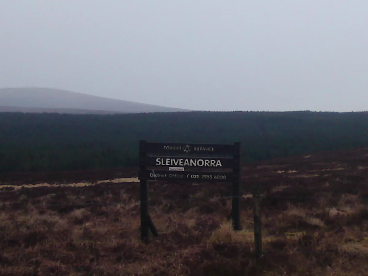 Slieveanorra Forest