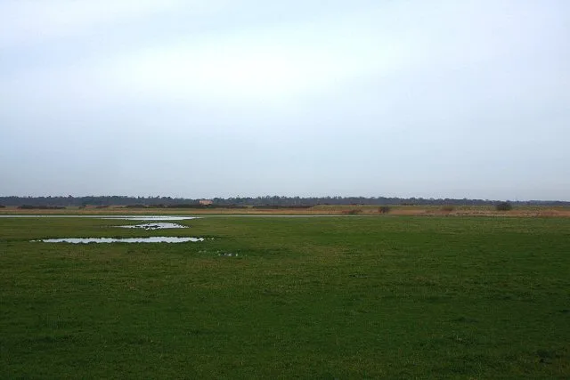 Snape Marshes