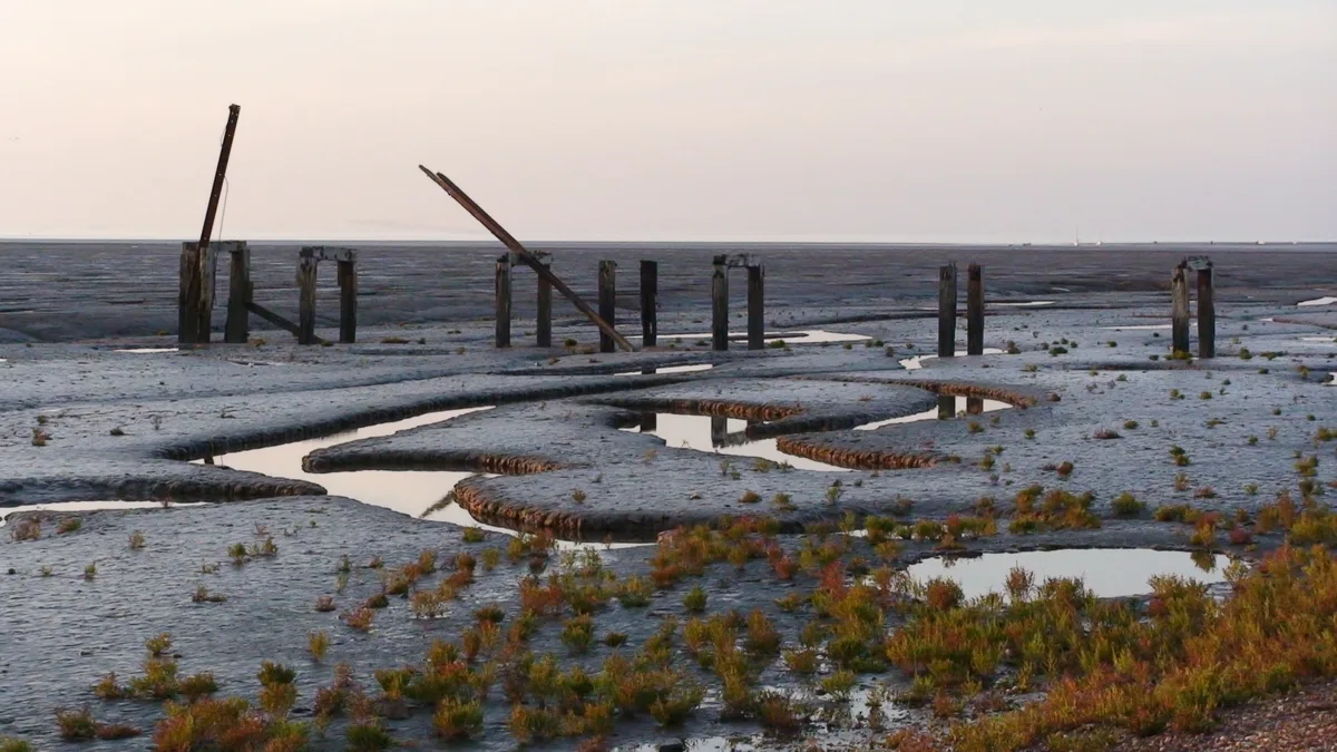 Snettisham RSPB reserve