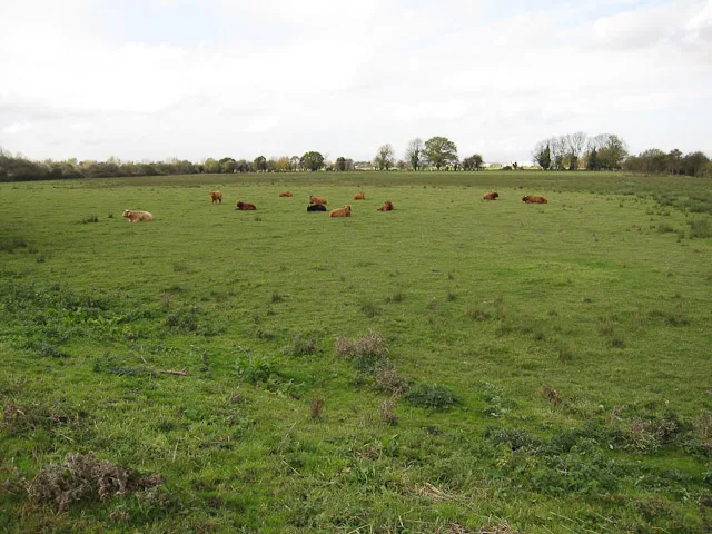 Soham Meadow