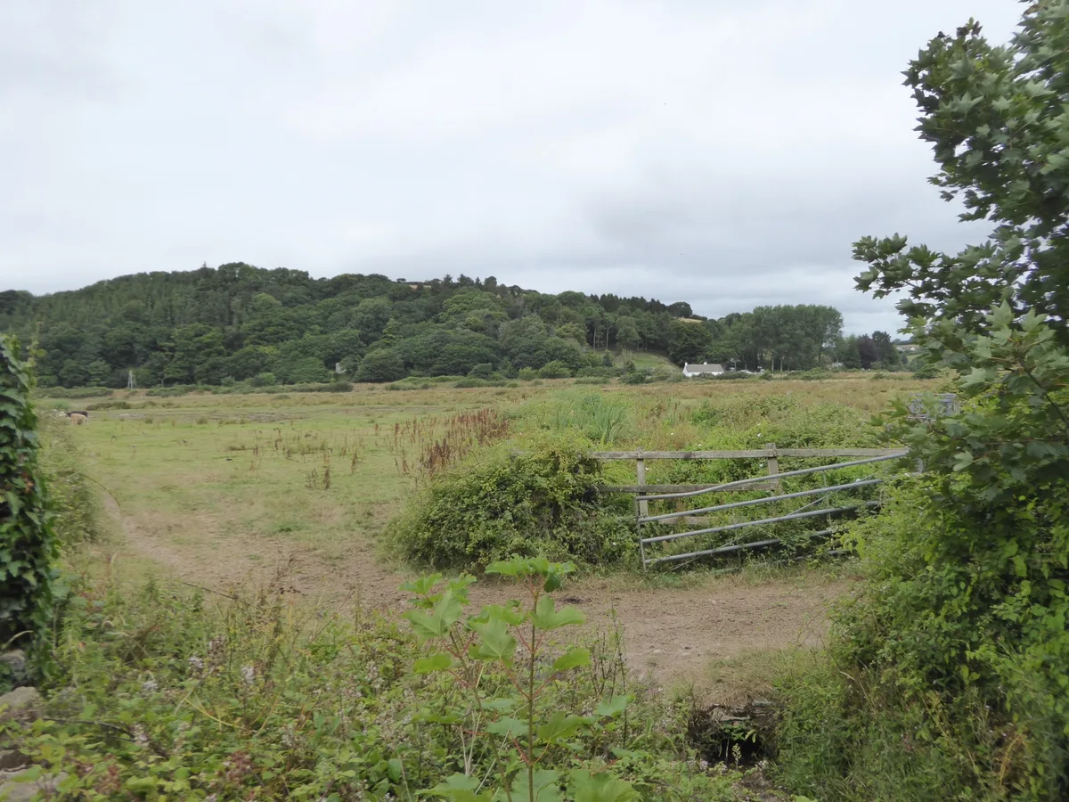South Efford Marsh