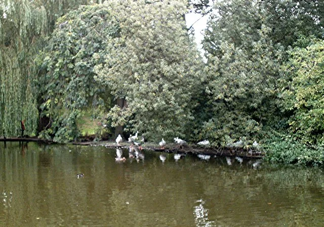 Southchurch Hall moated site