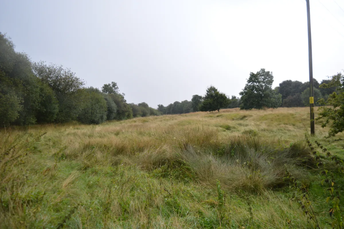 Southorpe Paddock