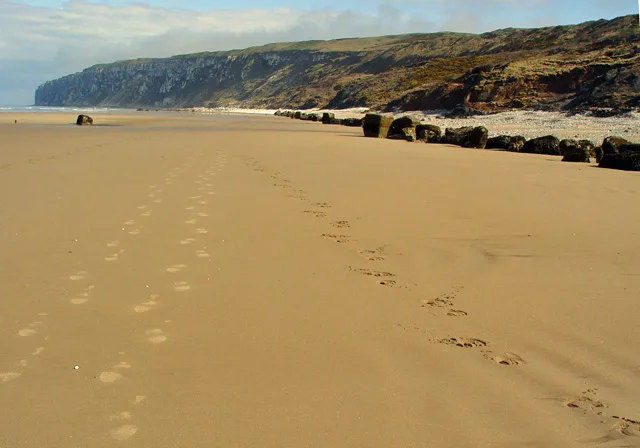 Speeton Sands