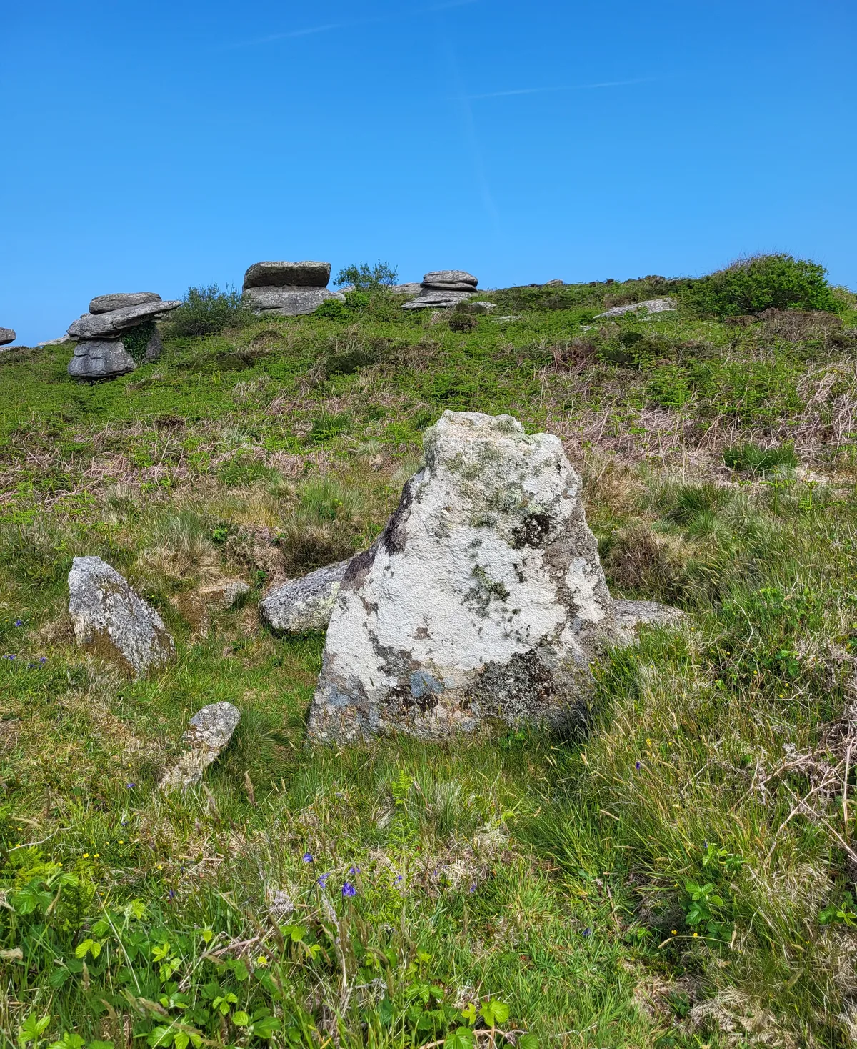 Sperris Quoit