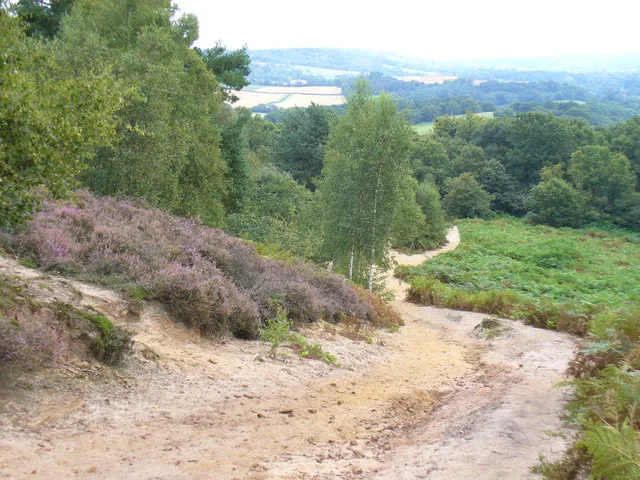 St Martha's Hill and Colyer's Hanger