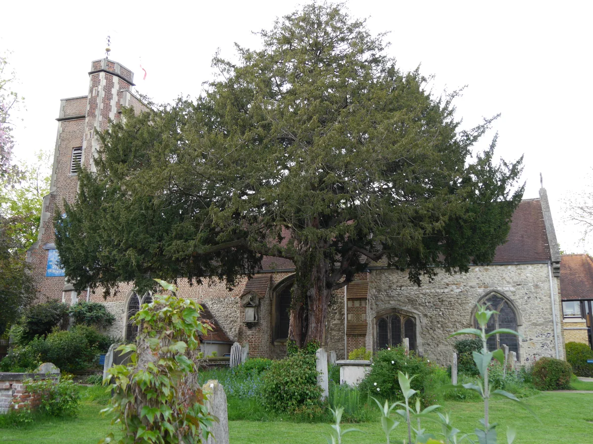 St Mary's Church, Barnes