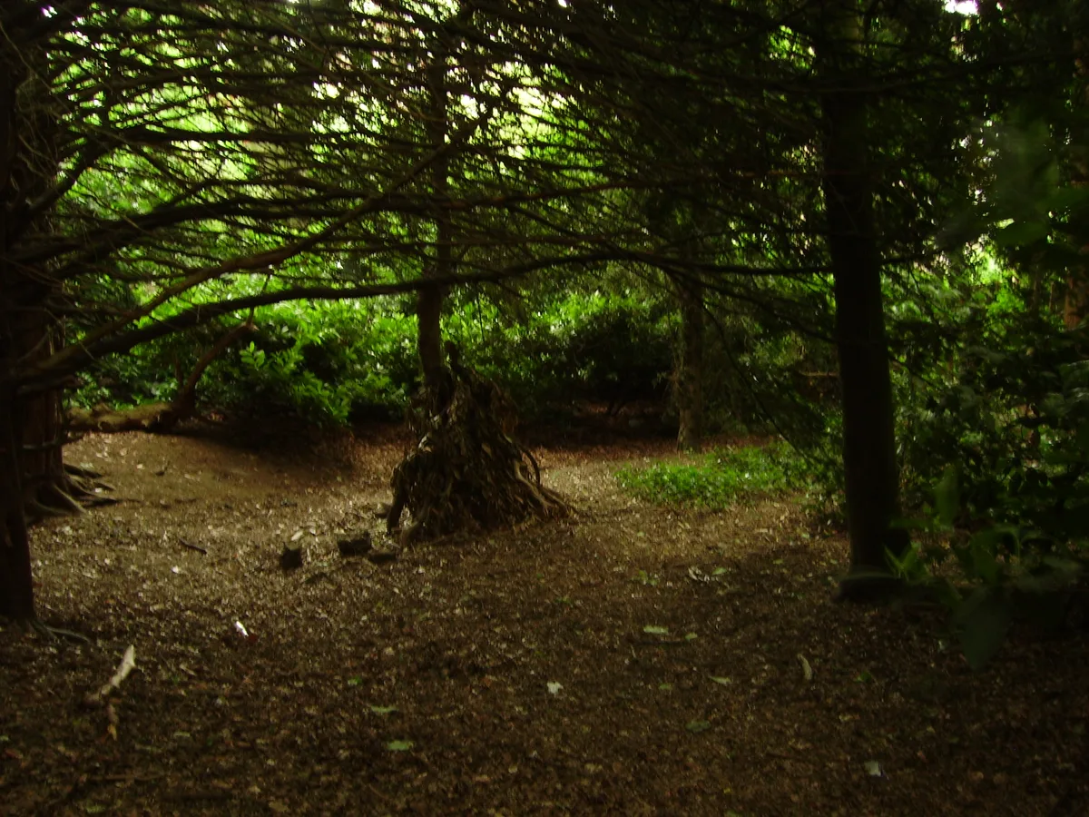 Stambourne Woodland Walk