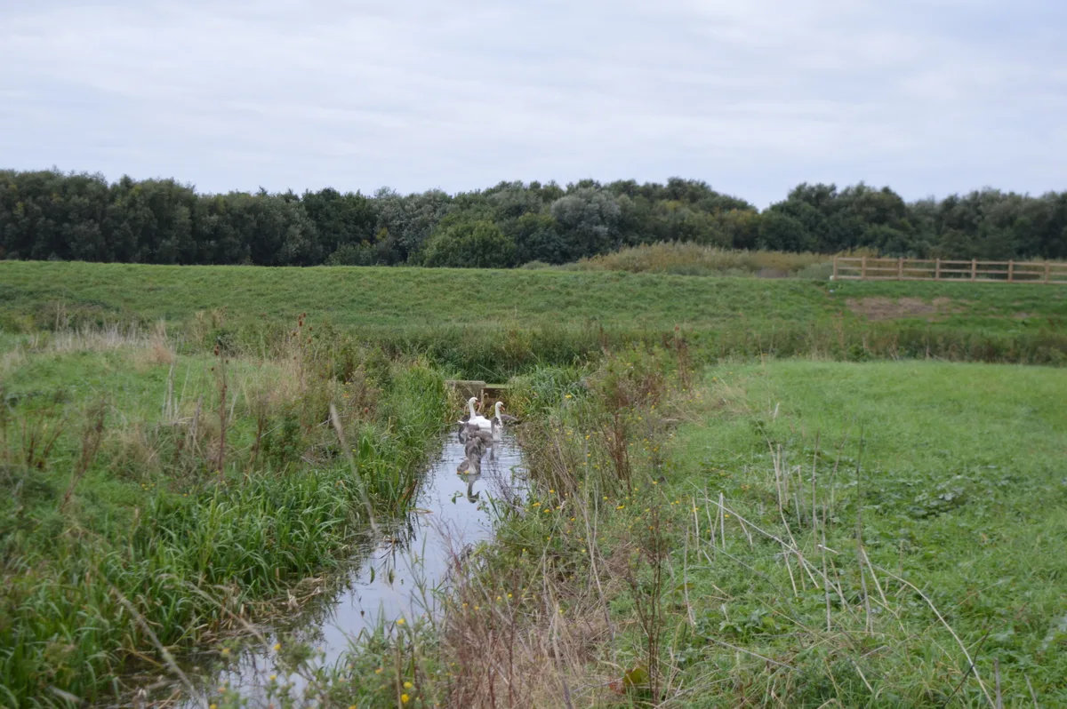Stanground Wash