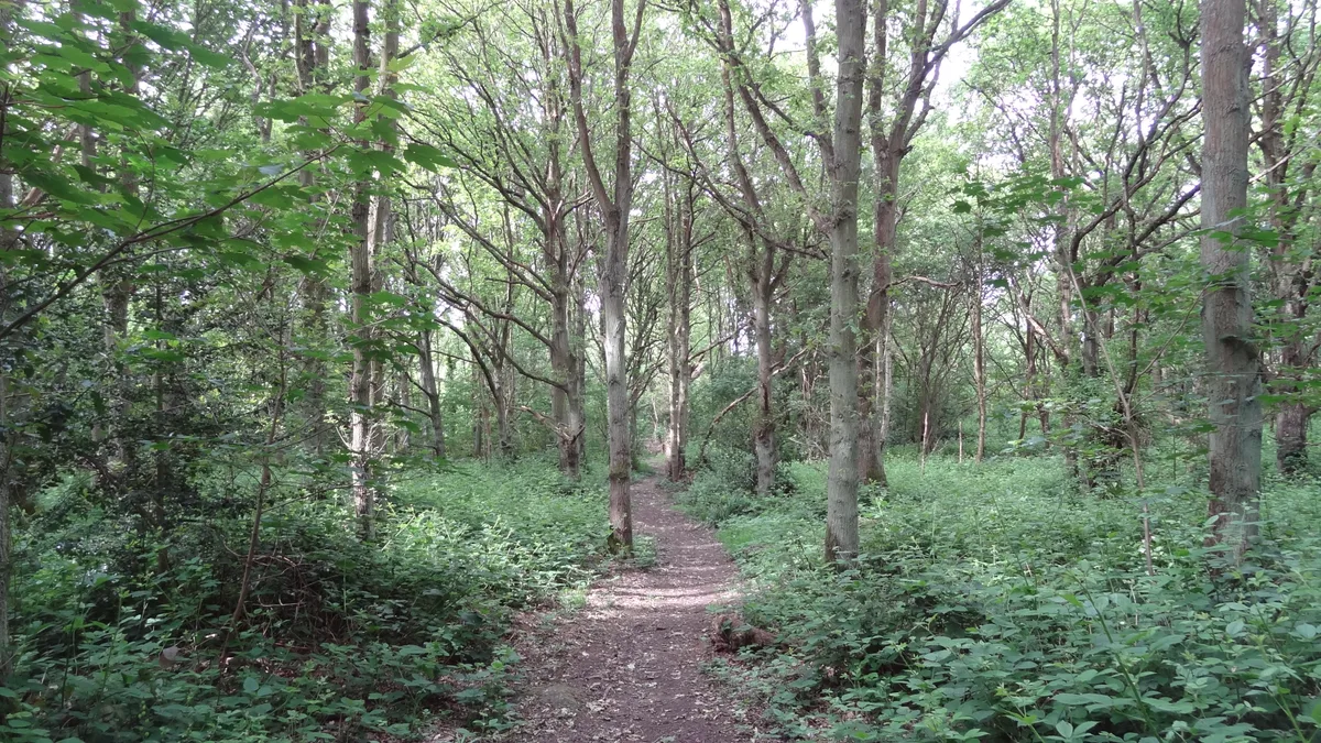 Stanmore Country Park