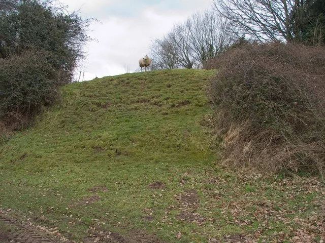 Stapleton Motte