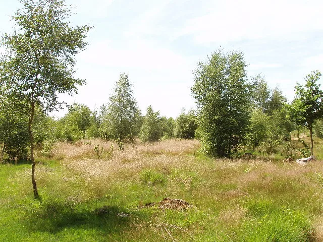 Stoke Common