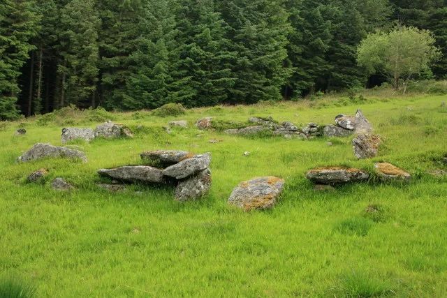 Stone alignment, hut circle settlement, medieval long house and post-medieval farmstead at Assycombe