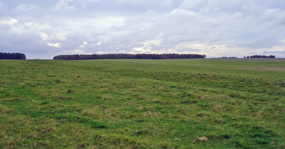Stonehenge Cursus