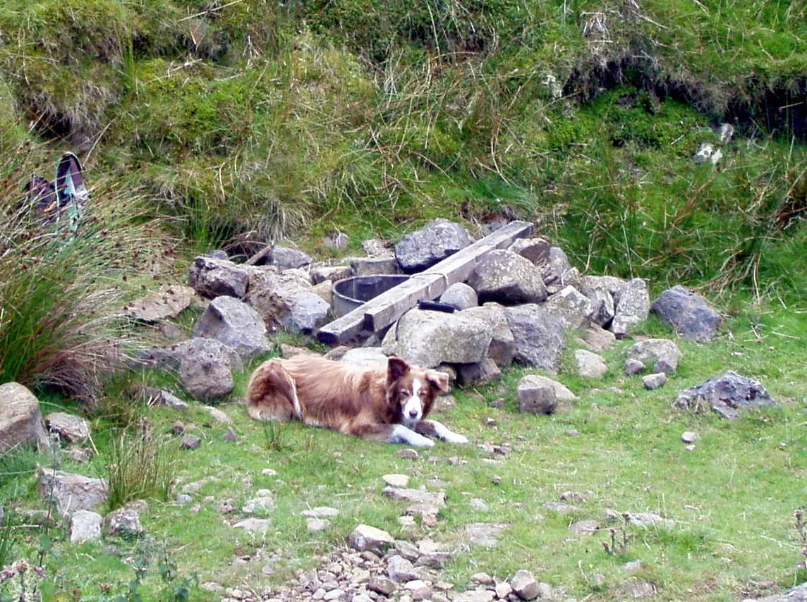 Stream Passage Pot