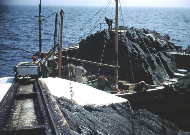 Sule Skerry, islands in Scottish Islands