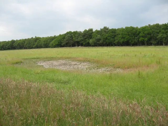 Tadnoll and Winfrith Heath
