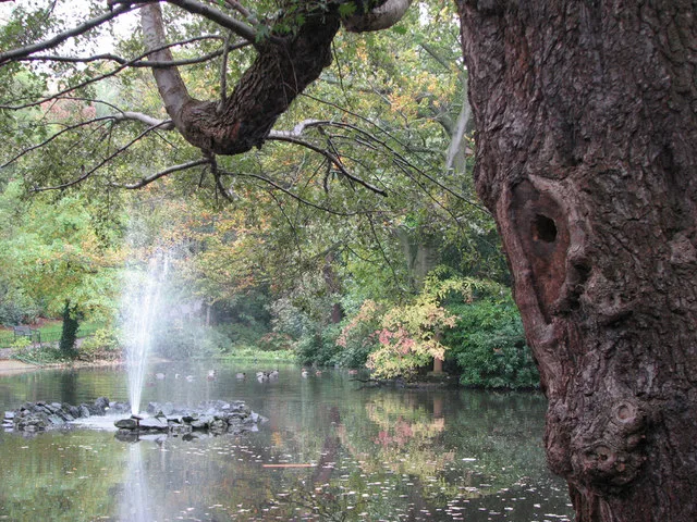 The Arboretum