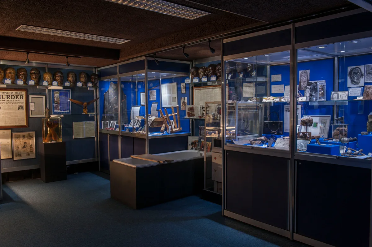 The Crime Museum