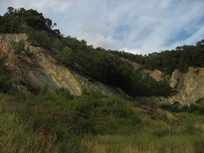 The Ercall