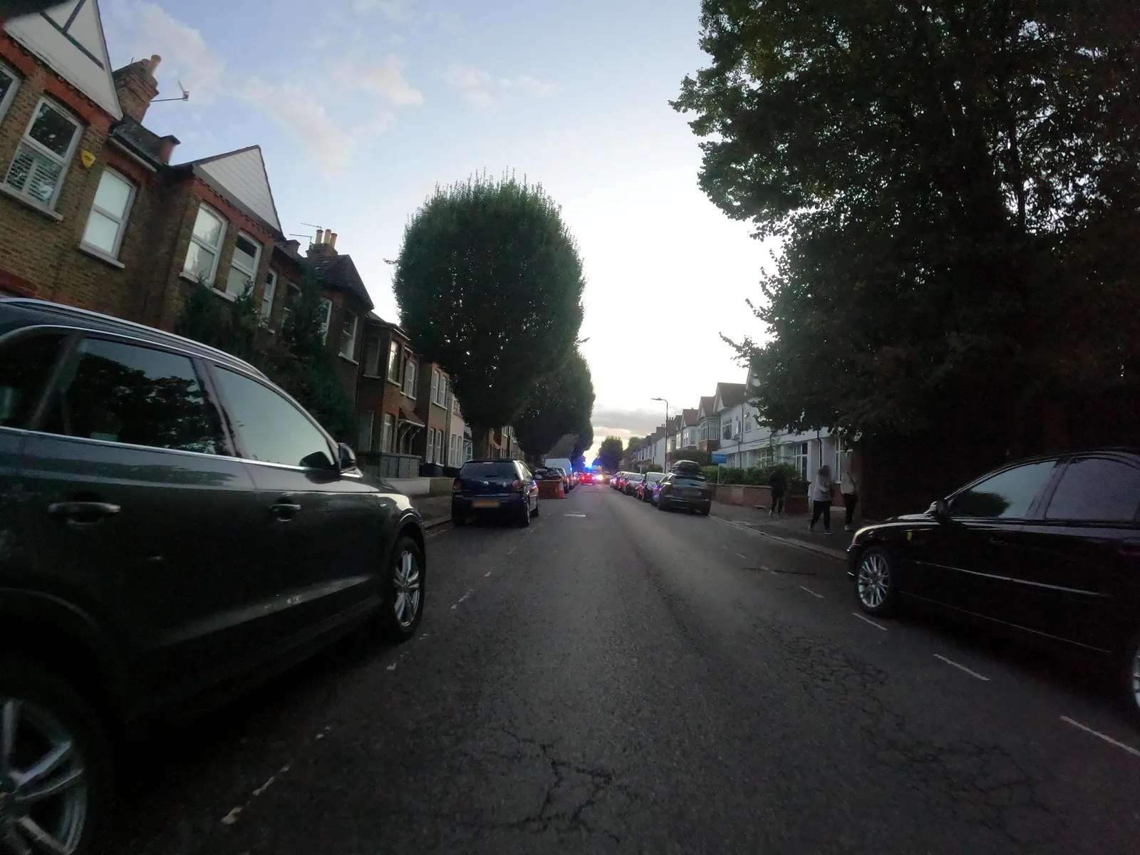 The Forester — street-level view