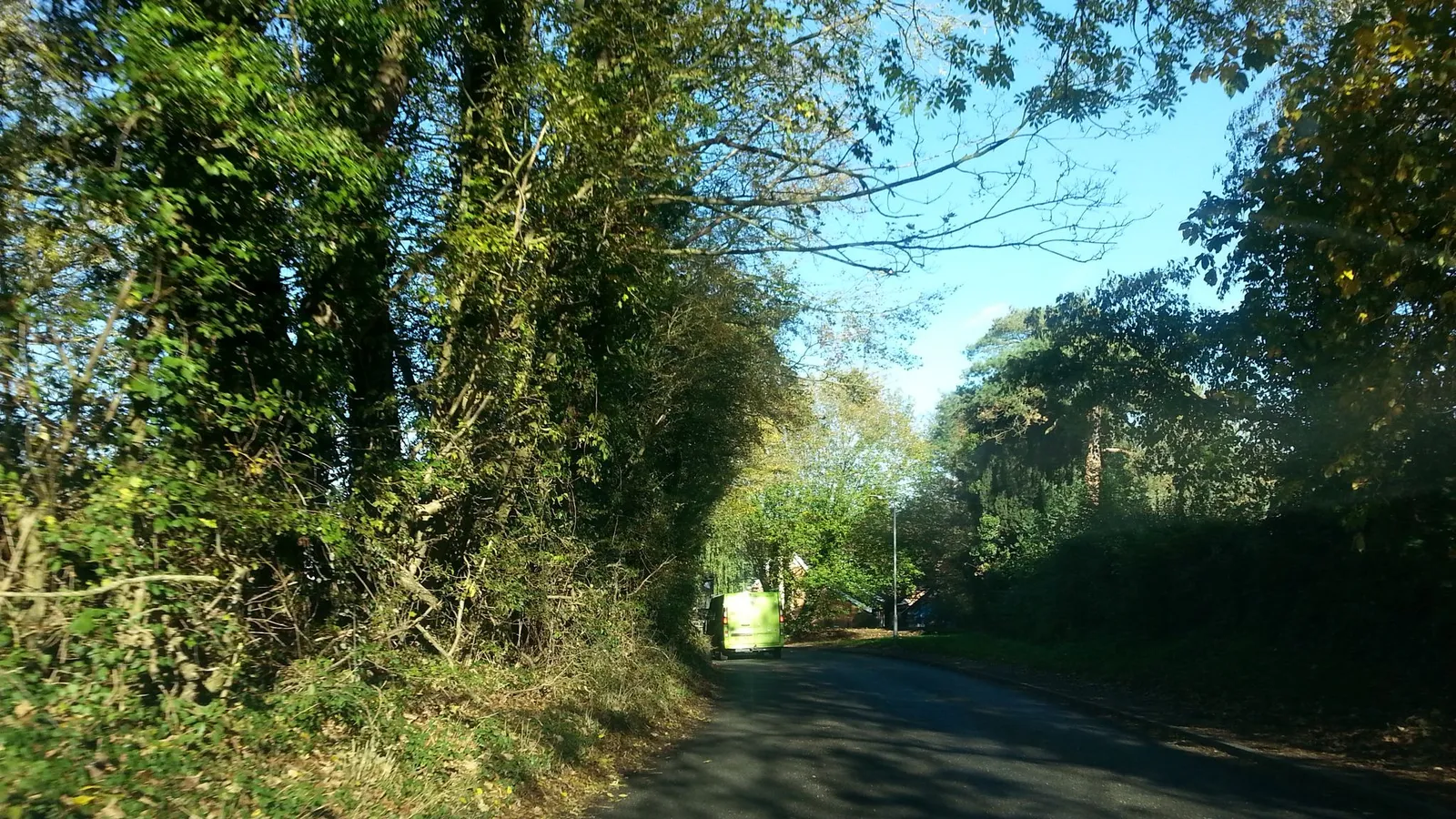 The Fox And Goose — street-level view