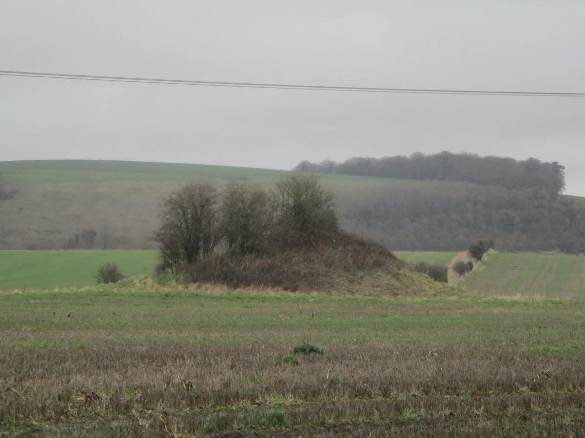 The Knoll: a bell barrow 300m west of Manor Farm