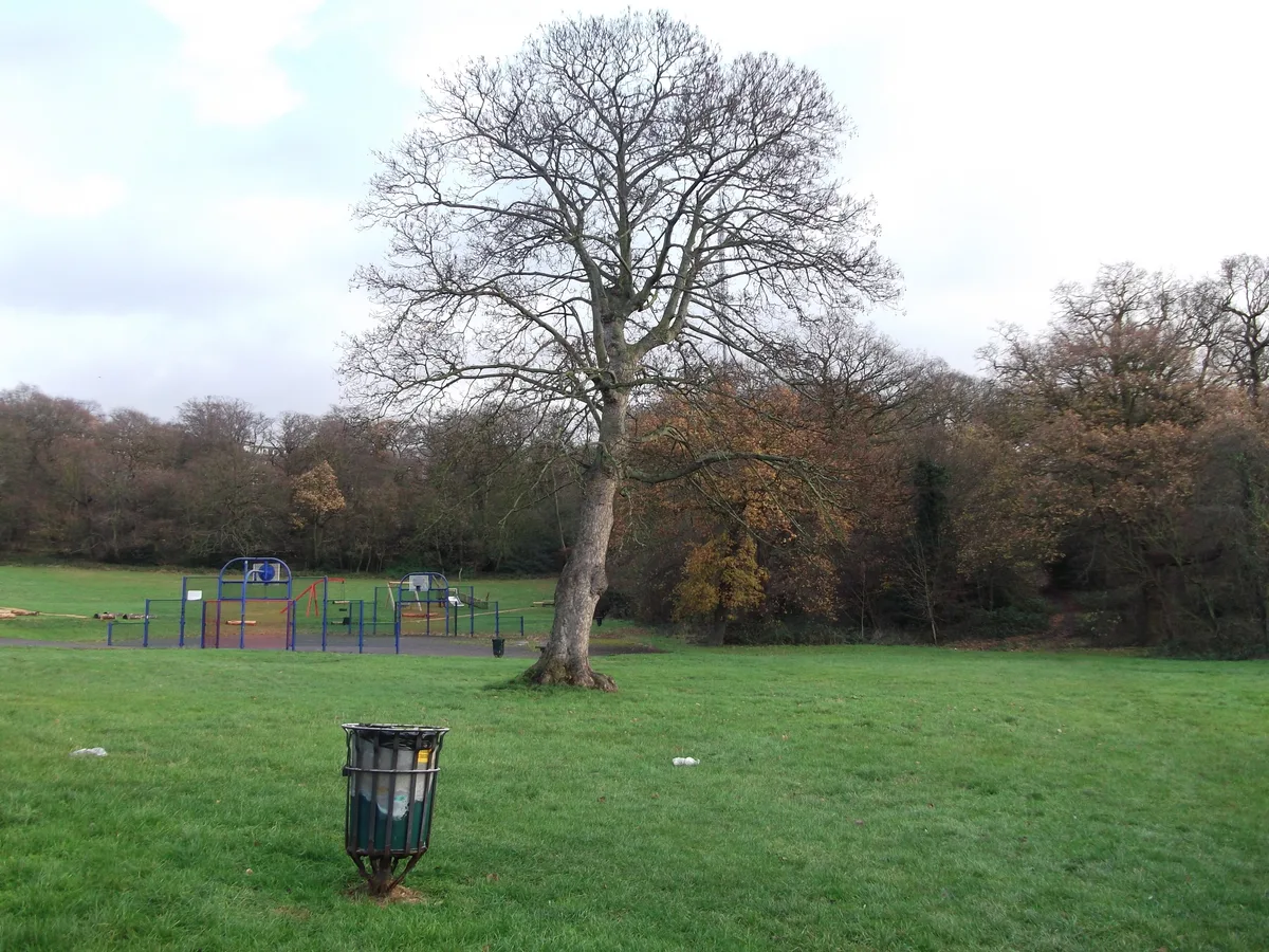 The Lawns