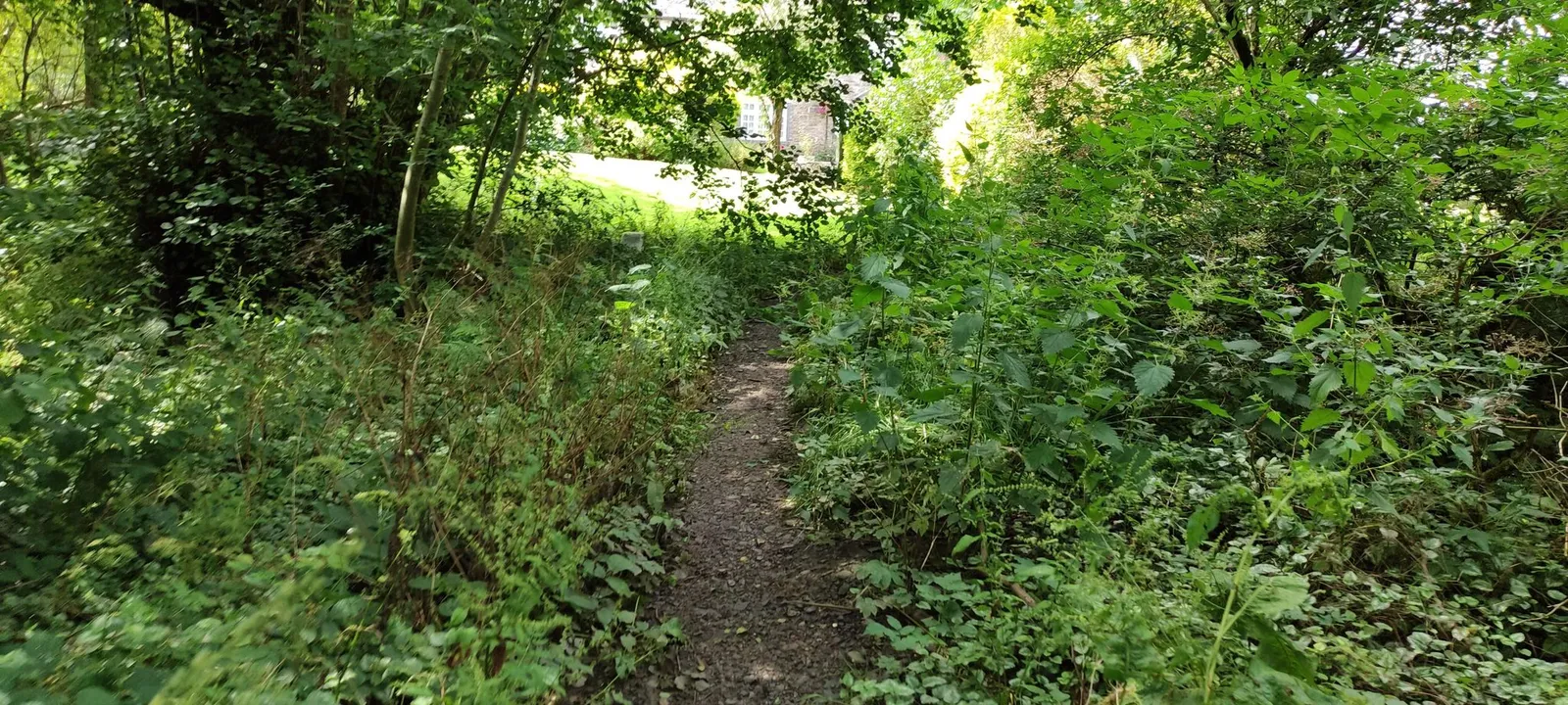 The Pheasant Inn — street-level view