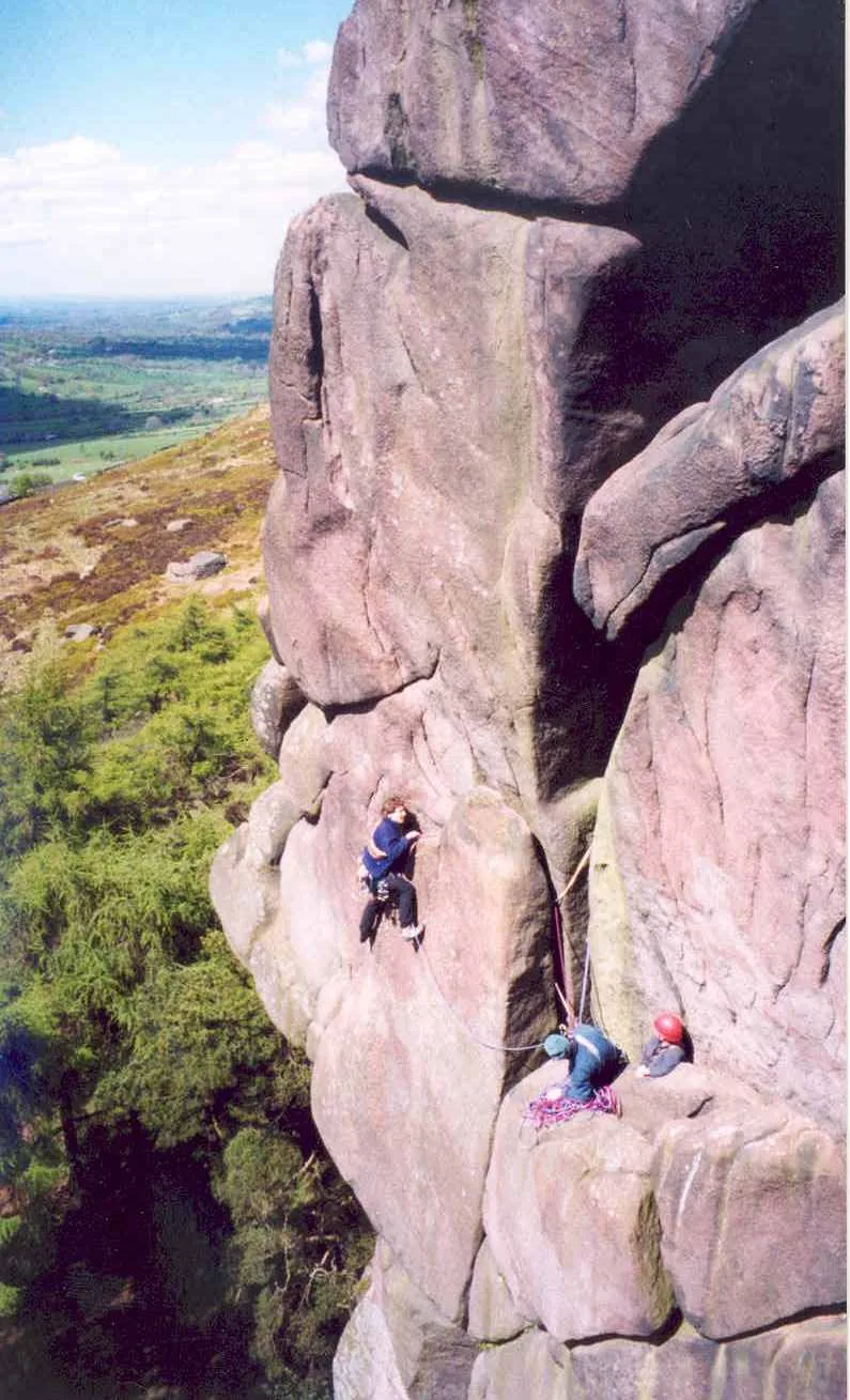 The Roaches