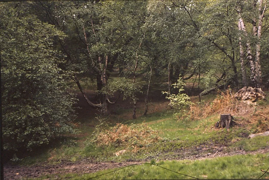 Thorndon Park