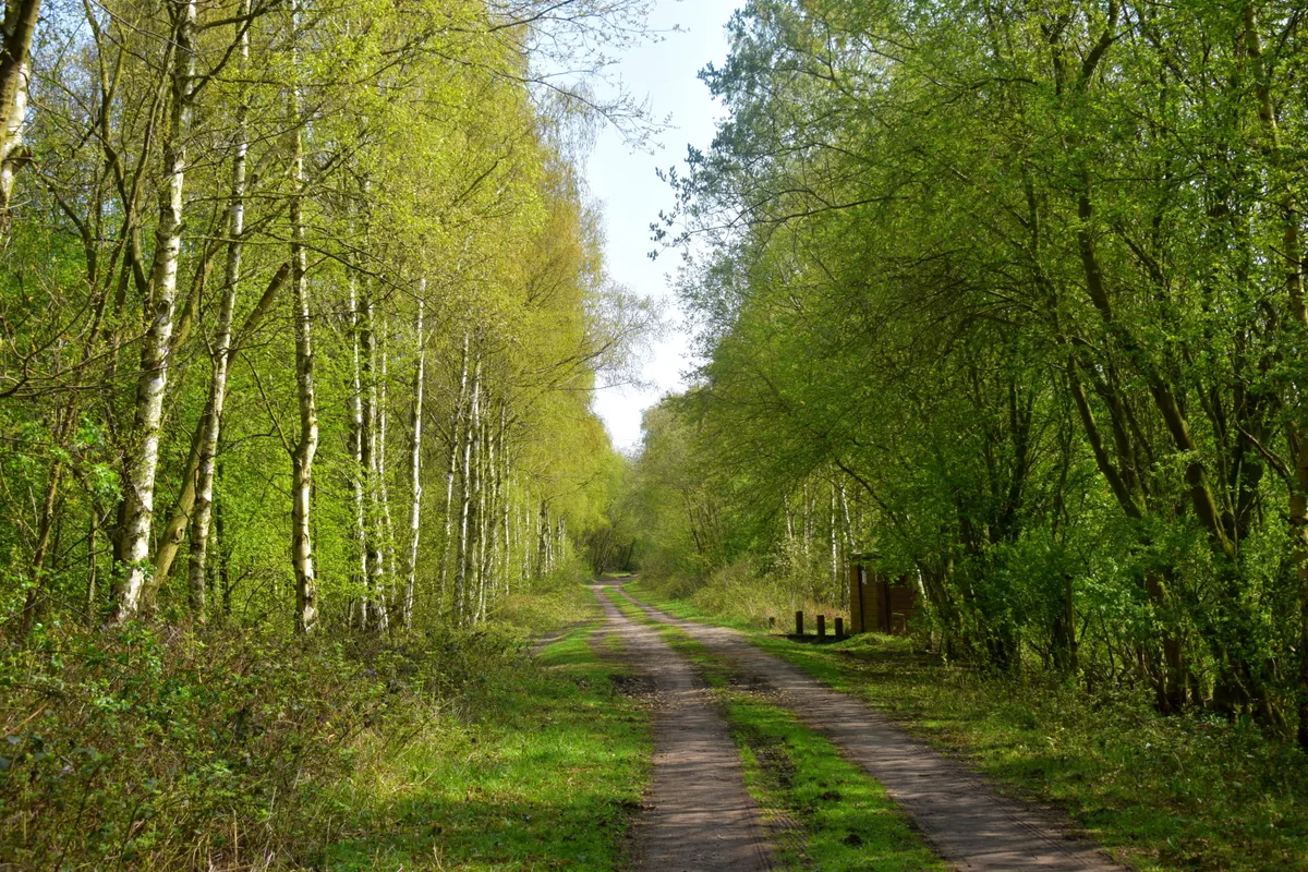 Thorpe Marsh Nature Reserve