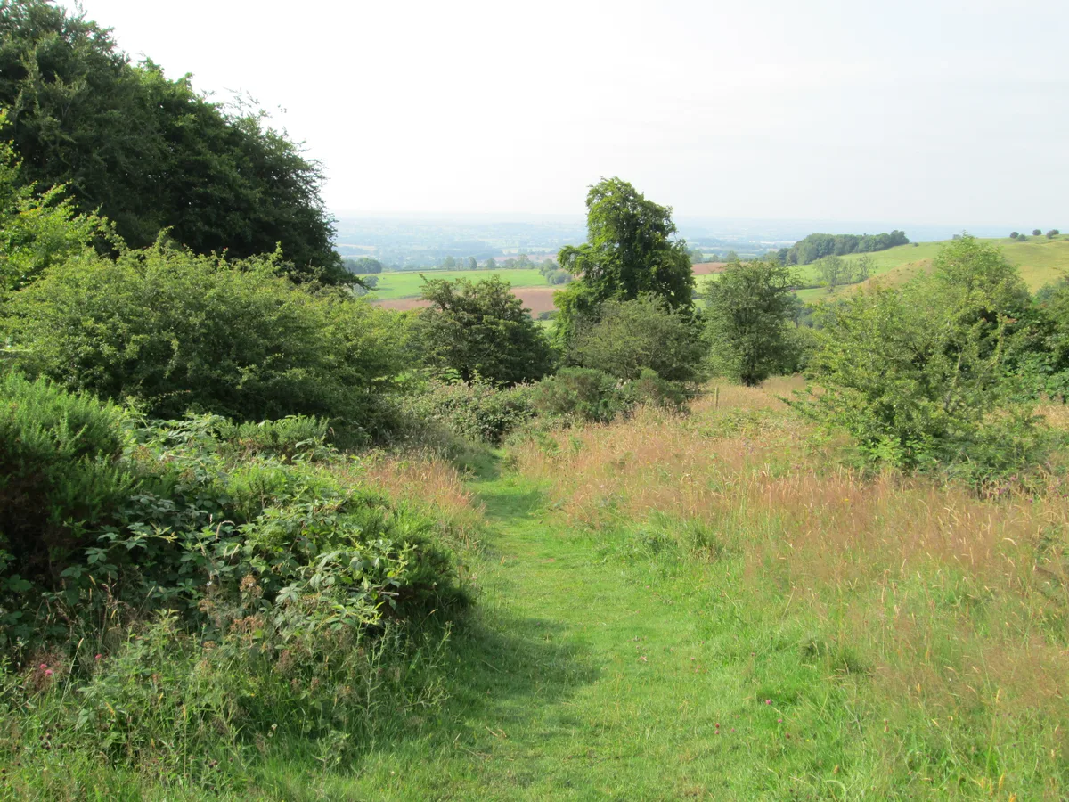 Thorswood