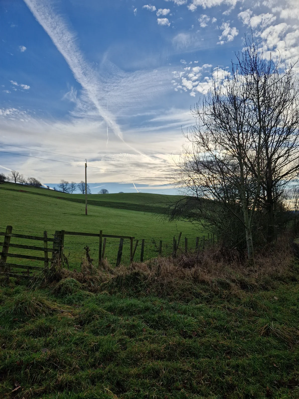 Throstle Brow prehistoric enclosure