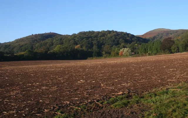 Tinker's Hill