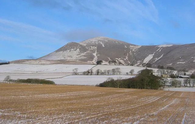 Tinto Hill