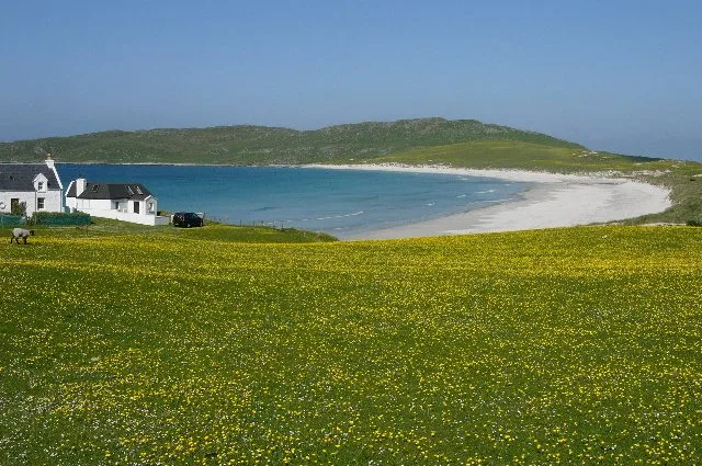 Tiree