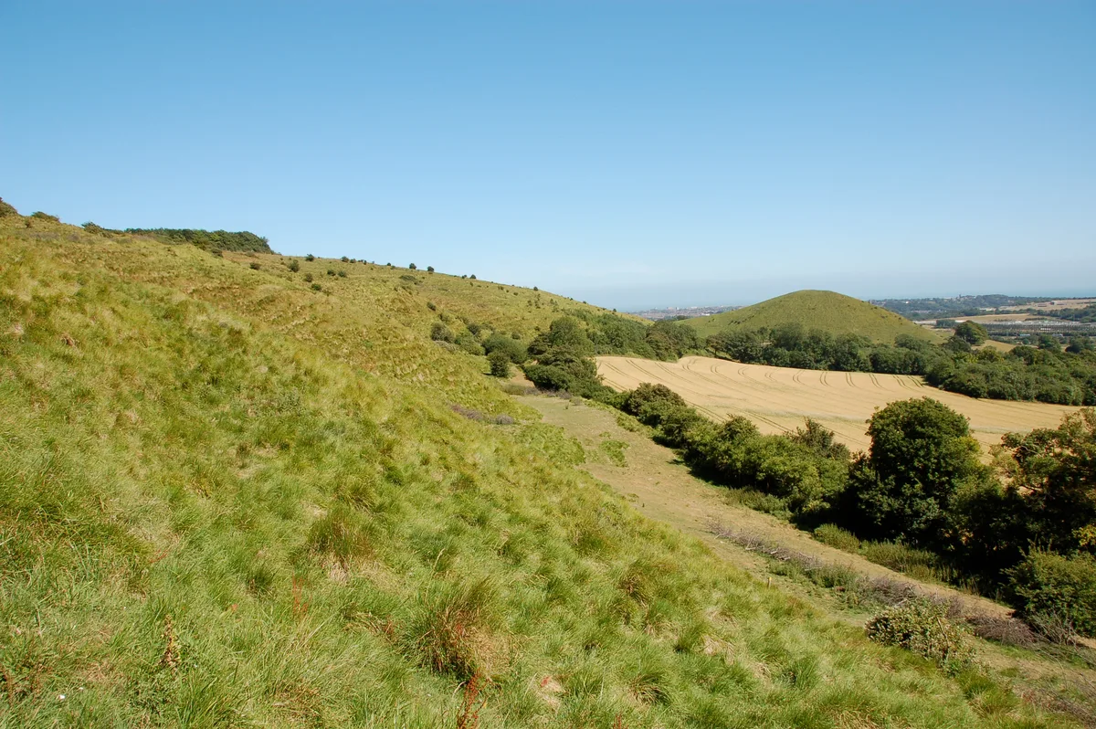 Tolsford Hill