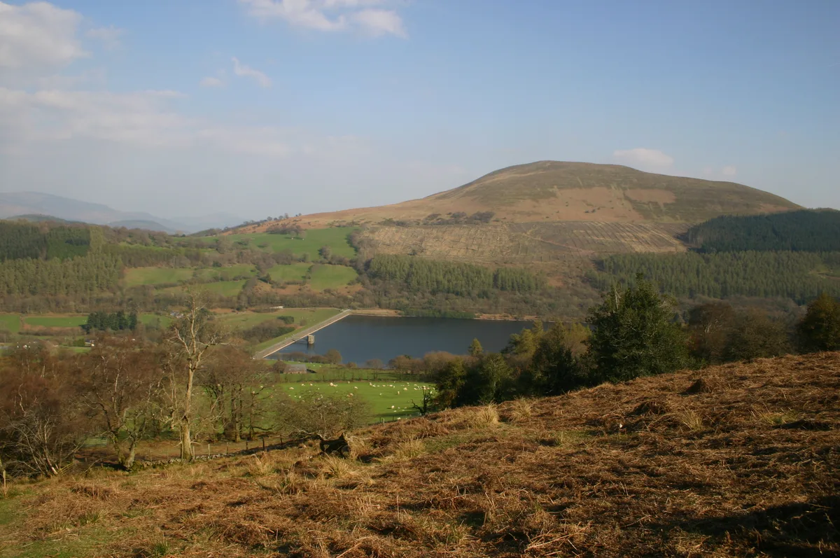 Tor y Foel