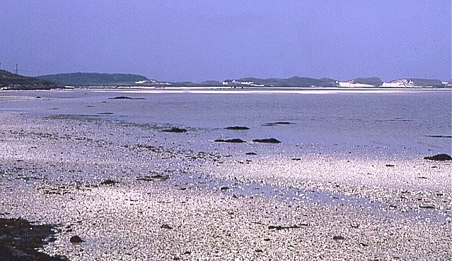 Traigh Mhòr