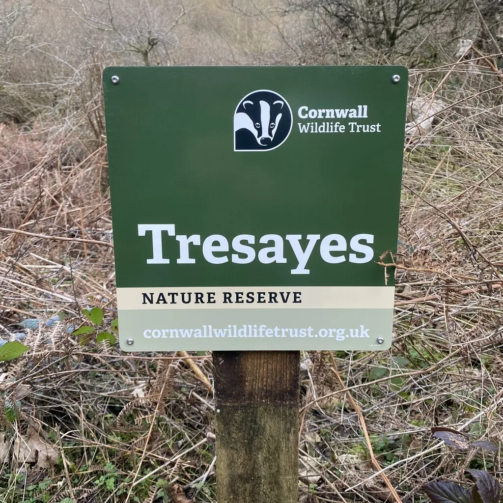 Tresayes Quarry