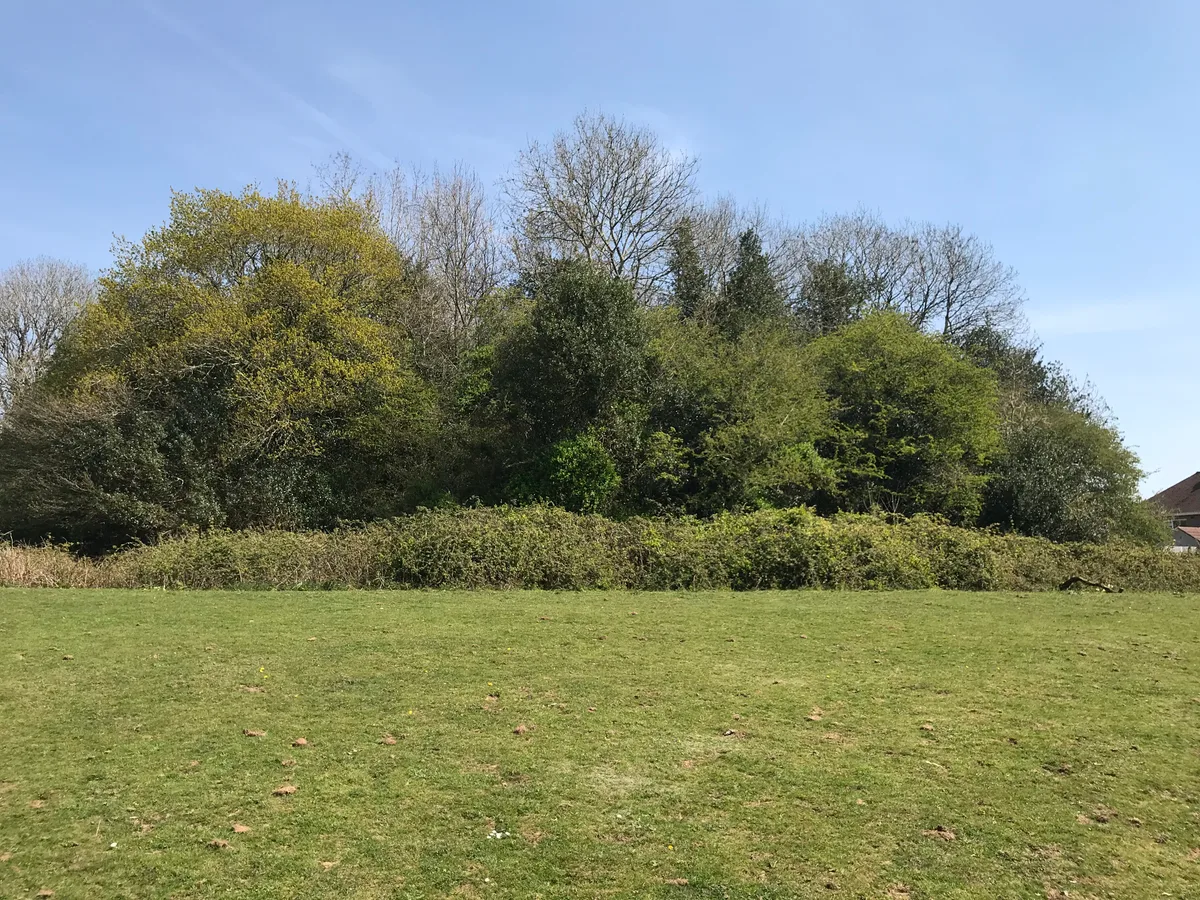 Twmpath Motte